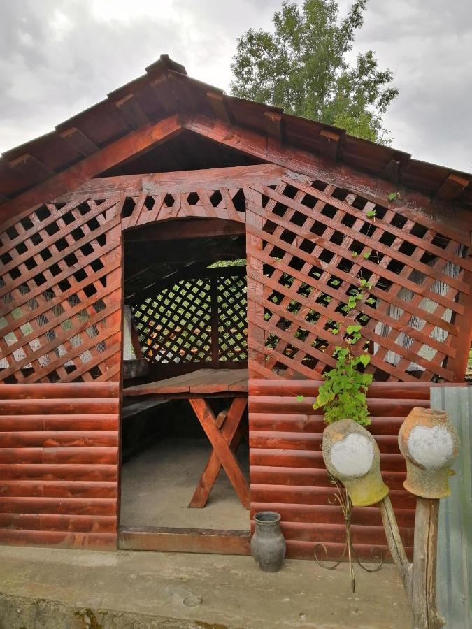 У Катерини Vila Dvozhets Exterior foto